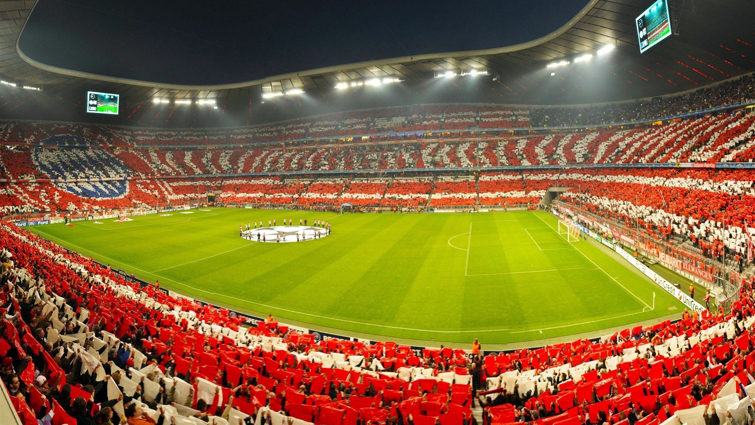 Timgad 举办 3×3 球赛+植树活动，助推社会融合与环保意识，植树节赛