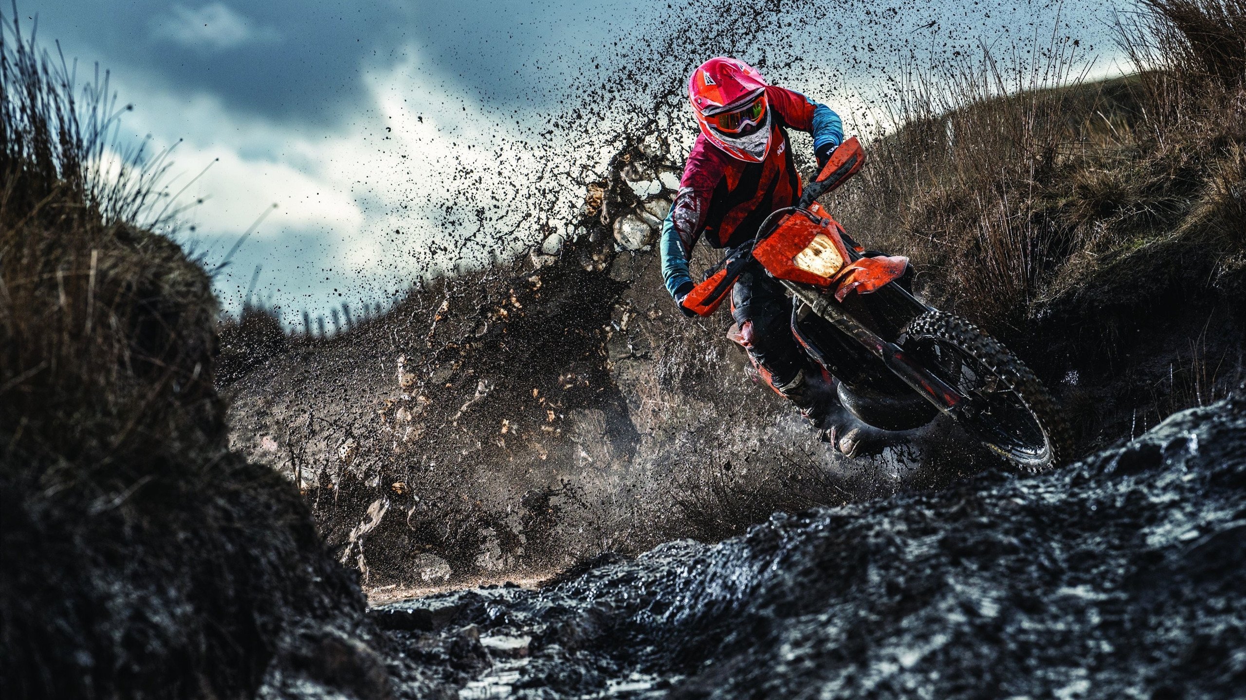 2026年世界攀岩锦标赛速度赛：中国选手包揽男女金牌